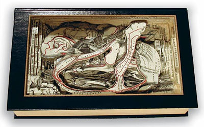 Brian Dettmer, Book art, surgical tools, sculpture, Carving, Collage